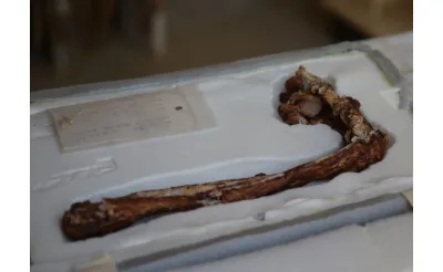 Sardes Antik Kenti'nde yapılan kazılarda, Perslerin Lidya'yı işgaline yol açan Thymbra Muharebesi'nde savaşmış iki askerin iskeletleri ve savaş aletleri bulundu. Sardes Antik Kenti'nde yapılan kazılarda, Perslerin Lidya'yı işgaline yol açan Thymbra Muharebesi'nde savaşmış iki askerin iskeletleri ve savaş aletleri bulundu.