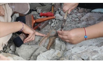 Çorakyerler kazısında bu sezon çok sayıda zürafa, fil ve gergedan fosili ortaya çıkarıldı
