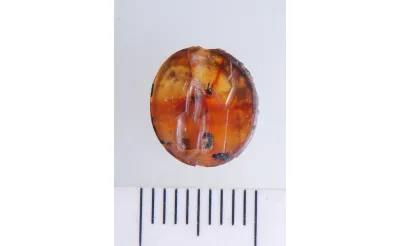  Assos Antik Kenti’nde bir yüzük taşı keşfedildi