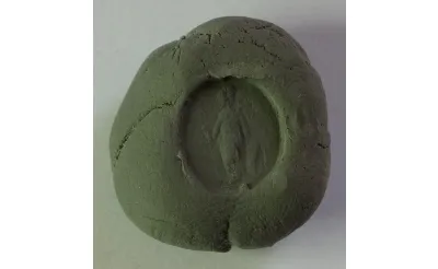  Assos Antik Kenti’nde bir yüzük taşı keşfedildi