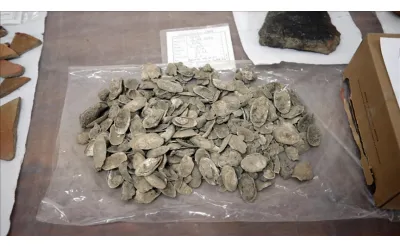 Aydın’daki Tepecik Höyüğü’nde 3.500 Yıllık Midye Kabukları Ortaya Çıkarıldı Aydın’daki Tepecik Höyüğü’nde 3.500 Yıllık Midye Kabukları Ortaya Çıkarıldı