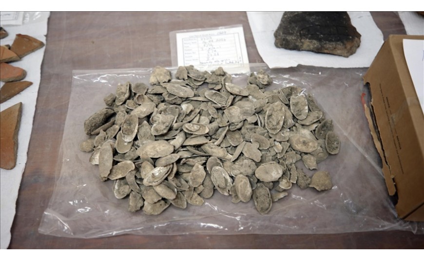 Aydın’daki Tepecik Höyüğü’nde 3.500 Yıllık Midye Kabukları Ortaya Çıkarıldı