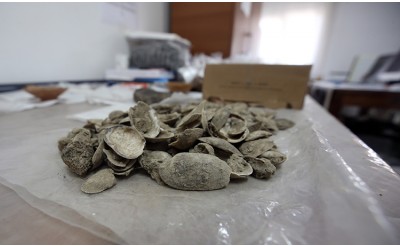 Aydın’daki Tepecik Höyüğü’nde 3.500 Yıllık Midye Kabukları Ortaya Çıkarıldı