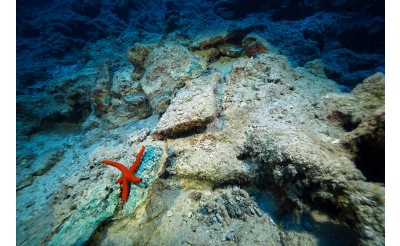 Dünyanın en eski ticaret gemisi batığındaki kazı çalışmaları görüntülendi