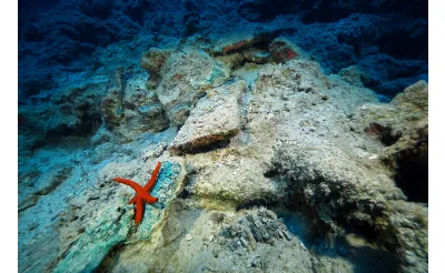 Dünyanın en eski ticaret gemisi batığındaki kazı çalışmaları görüntülendi