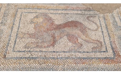 Osmaniye'de Kazı Çalışmalarında Ortaya Çıkan Roma Dönemi Mozaikleri Gün Yüzüne Çıkarılıyor