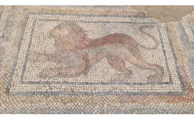 Osmaniye'de Kazı Çalışmalarında Ortaya Çıkan Roma Dönemi Mozaikleri Gün Yüzüne Çıkarılıyor