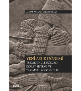 Yeni Asur Dönemi Yukarı Dicle Bölgesi Eyalet Sistemi ve Tarımsal Kolonicilik