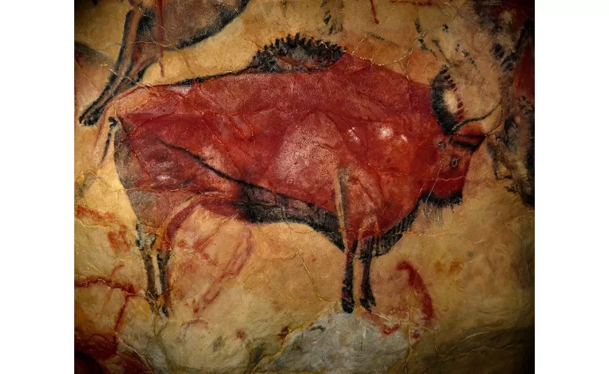 Altamira Mağarası'ndan bir bizon tasviri