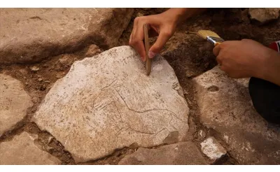 Karahantepe'de bulunan koşan yaban eşeği figürü neolitik döneme ışık tutacak Karahantepe'de bulunan koşan yaban eşeği figürü neolitik döneme ışık tutacak