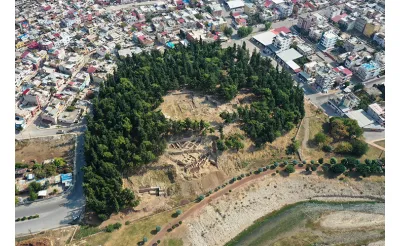 Yumuktepe Höyüğü'nde 9 Bin Yıllık Buğday Türleri Keşfedildi