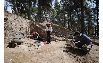 Yumuktepe Höyüğü'nde 9 Bin Yıllık Buğday Türleri Keşfedildi Yumuktepe Höyüğü'nde 9 Bin Yıllık Buğday Türleri Keşfedildi