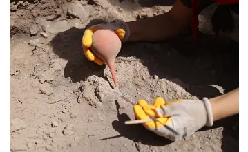 Yumuktepe Höyüğü'nde 9 Bin Yıllık Buğday Türleri Keşfedildi Yumuktepe Höyüğü'nde 9 Bin Yıllık Buğday Türleri Keşfedildi