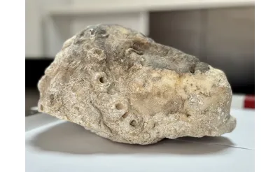 Muğla'daki Fethiye Kalesi kazısında Apollon'a ait olduğu değerlendirilen heykel başı bulundu. Muğla'daki Fethiye Kalesi kazısında Apollon'a ait olduğu değerlendirilen heykel başı bulundu.