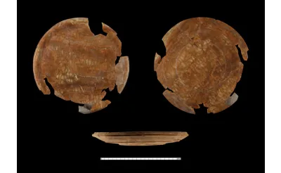 Yassı Höyük'te 2 bin 800 yıllık nohut, buğday, kayısı çekirdeği, üzüm ve sarımsak taneleri bulundu Yassı Höyük'te 2 bin 800 yıllık nohut, buğday, kayısı çekirdeği, üzüm ve sarımsak taneleri bulundu