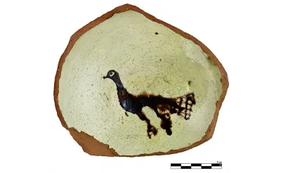 Ani Ören Yeri'ndeki kazıda erzak deposuyla tavus kuşu figürlü kase parçası bulundu Ani Ören Yeri'ndeki kazıda erzak deposuyla tavus kuşu figürlü kase parçası bulundu