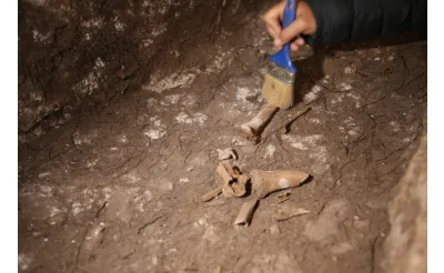 Hanım Kalesi'nde 1500 yıllık Anadolu leoparı kemikleri bulundu