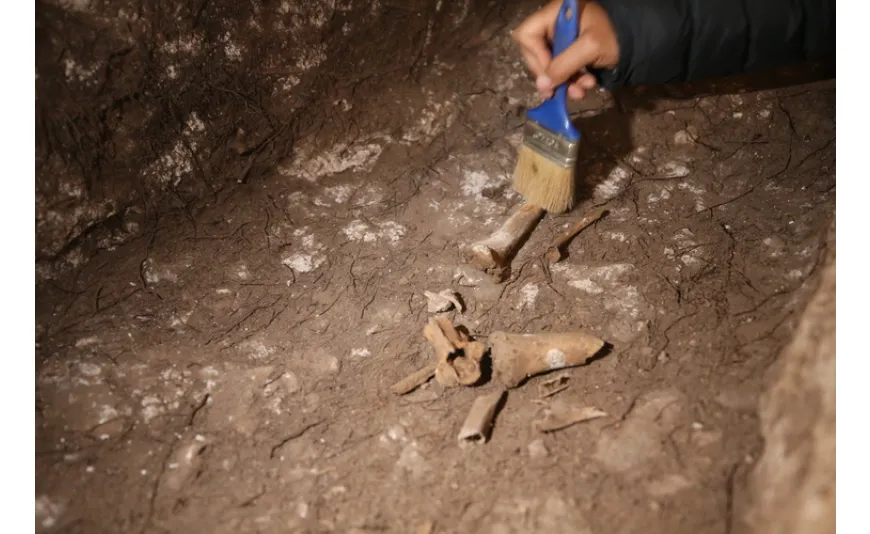 Hanım Kalesi'nde 1500 yıllık Anadolu leoparı kemikleri bulundu