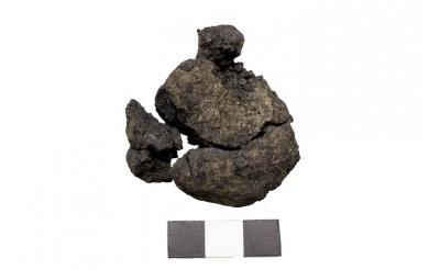 Çatalhöyük'te 8 bin 600 yıllık dünyanın en eski ekmeği bulundu