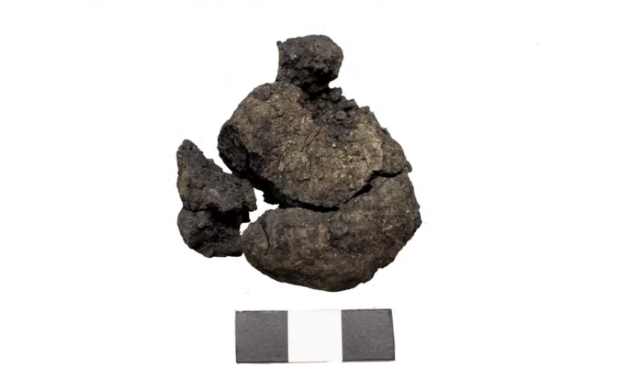 Çatalhöyük'te 8 bin 600 yıllık dünyanın en eski ekmeği bulundu