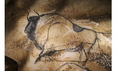 Chauvet Mağarası Chauvet Mağarası