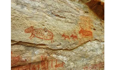 Serra da Capivara Ulusal Parkı'nın Kaya Resimleri