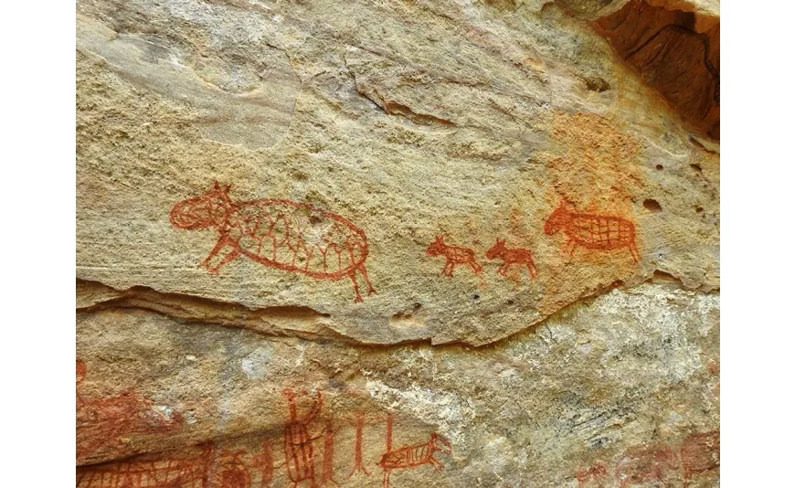 Serra da Capivara Ulusal Parkı'nın Kaya Resimleri