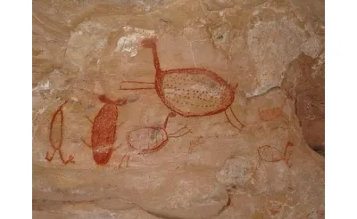 Serra da Capivara Ulusal Parkı'nın Kaya Resimleri