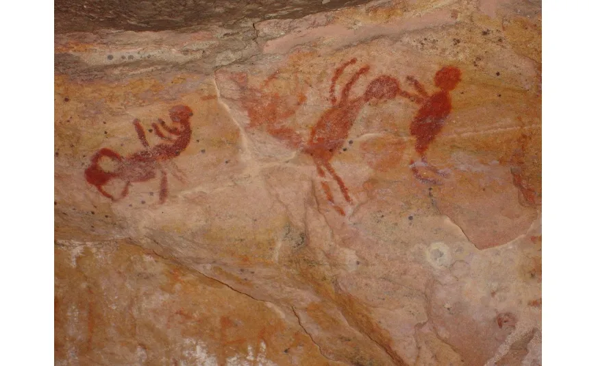 Serra da Capivara Ulusal Parkı'nın Kaya Resimleri