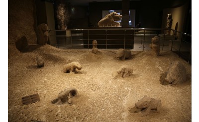 Şanlıurfa'da çıkarılan neolitik döneme ait 81 eser ilk kez teşhir edilecek