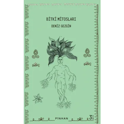 Bitki Mitosları Bitki Mitosları