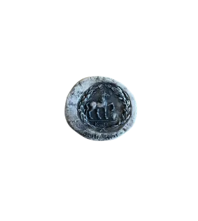 At Tasvirli Kyme Magnet