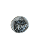 Midye Tasvirli Magnet