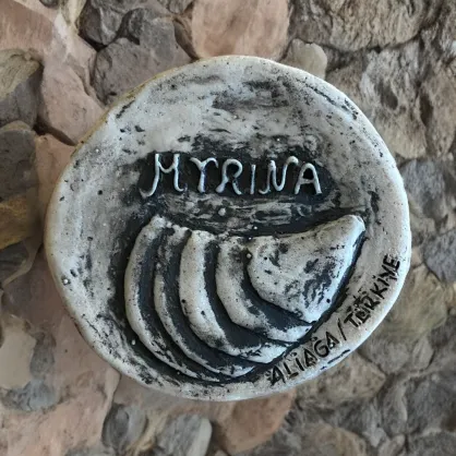 Midye Tasvirli Magnet Midye Tasvirli Magnet