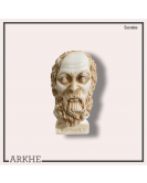 Socrates Magnet Socrates Magnet