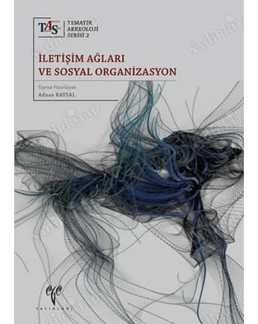 İletişim Ağları ve Sosyal Organizasyon